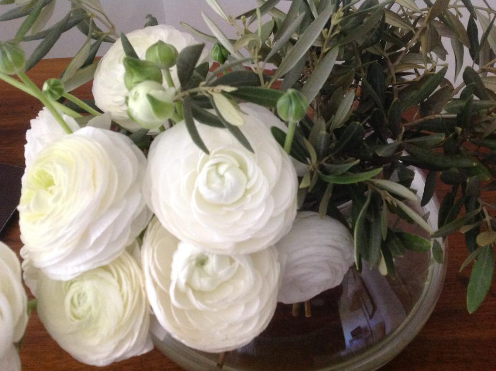 Lauris Domaine La Carraire Bed & Breakfast エクステリア 写真